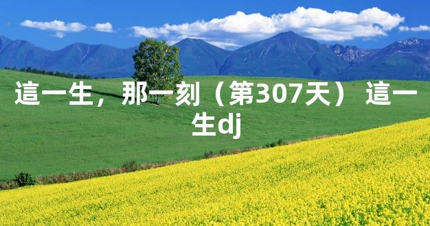 這一生，那一刻（第307天） 這一生dj